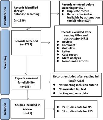 Immune-related adverse events and their effects on survival outcomes in patients with non-small cell lung cancer treated with immune checkpoint inhibitors: a systematic review and meta-analysis